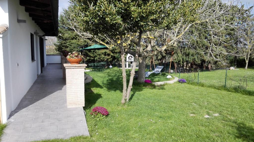 Il Piccolo Rifugio - L'Angoletto Palidoro Habitación foto